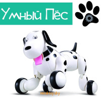 Интерактивная собака-робот Happy Cow Smart Dog, 777-338 - Minsktoys.by Интерактивная собака-робот Happy Cow Smart Dog, 777-338 - Minsktoys.by